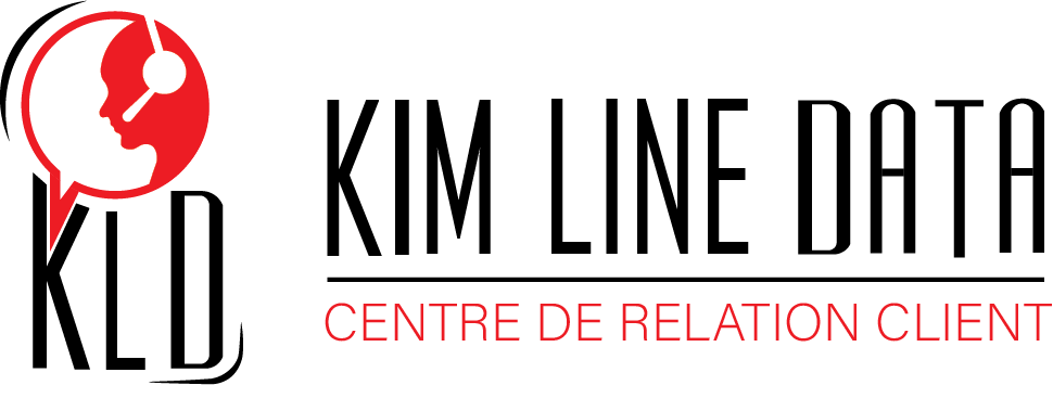 KIM LINE DATA Logo